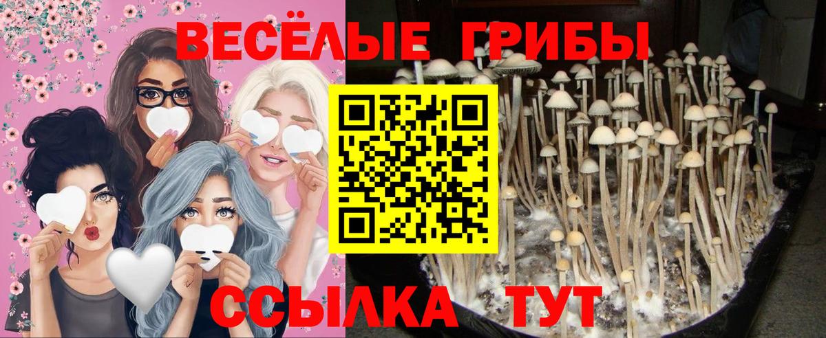 Псилоцибиновые грибы Magic Shrooms Барнаул
