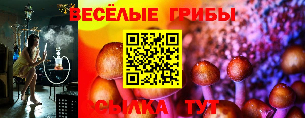 Псилоцибиновые грибы мицелий  Галлюциногенные грибы GOLDEN TEACHER  Барнаул  Вход с VPN 